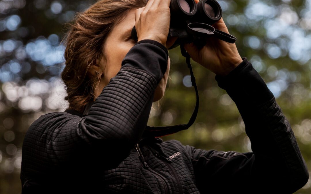 My Fieldwork, Your Friend